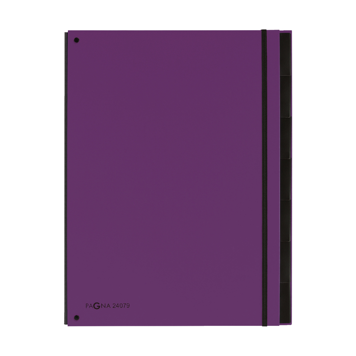 Sorteermap pagna trend 7tab a4 pp lila(p2407912) - 0