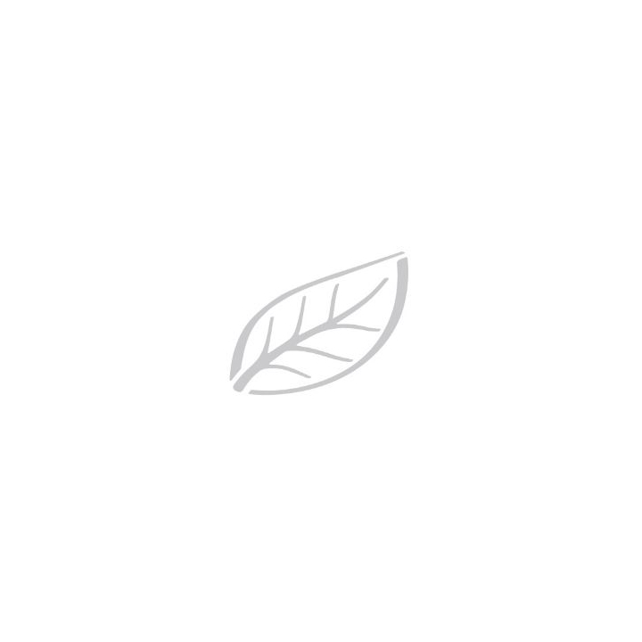 Tork SmartOne | Centerfeed Toiletpapier | 207 Meter | 2-Laags | T8 | Wit | 472242 (6 stuks) - 2